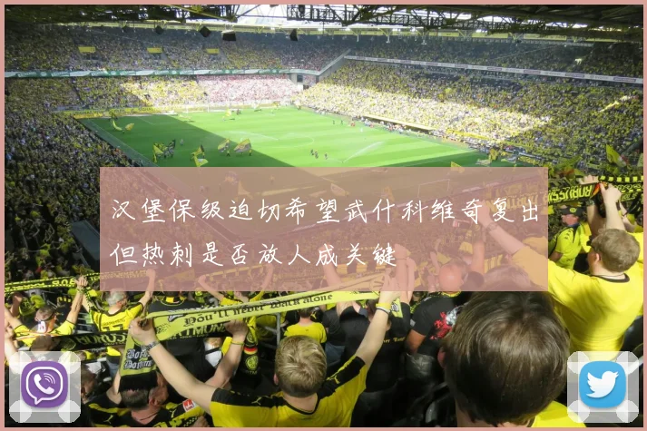 汉堡保级迫切希望武什科维奇复出但热刺是否放人成关键