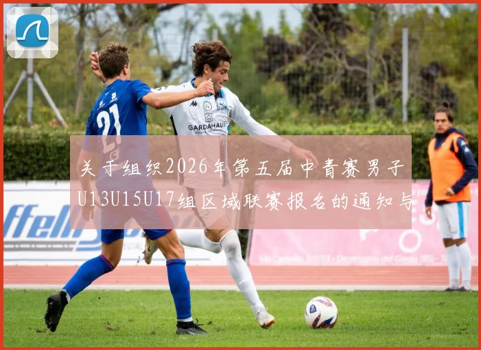 关于组织2026年第五届中青赛男子U13U15U17组区域联赛报名的通知与要求